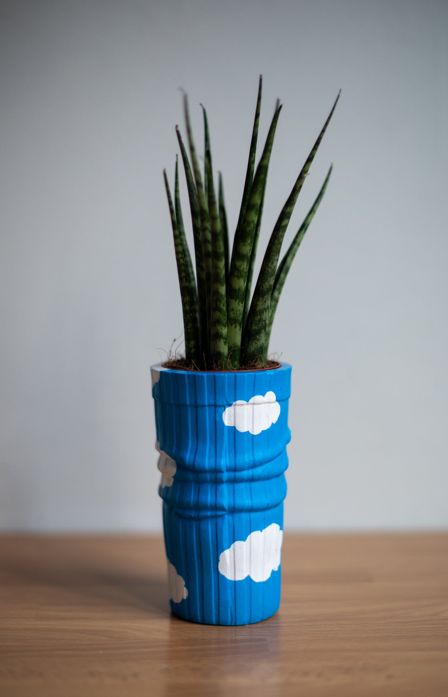 Vaso Sock Clouds