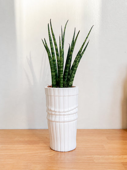Vaso Sock inspired