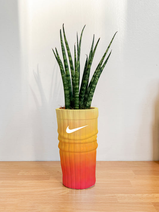 Vaso Nike Sock inspired Sunset